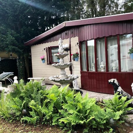 Retro Relax Resort Midden In Het Bos Op De Veluwe In Putten Eksteriør billede
