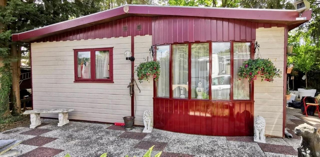 Retro Relax Resort Midden In Het Bos Op De Veluwe In Putten Eksteriør billede
